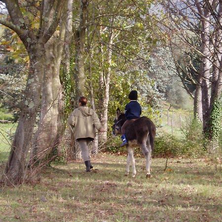 Podere La Piana Фивиццано Экстерьер фото